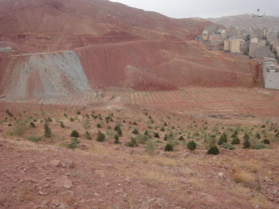 پایان بولی